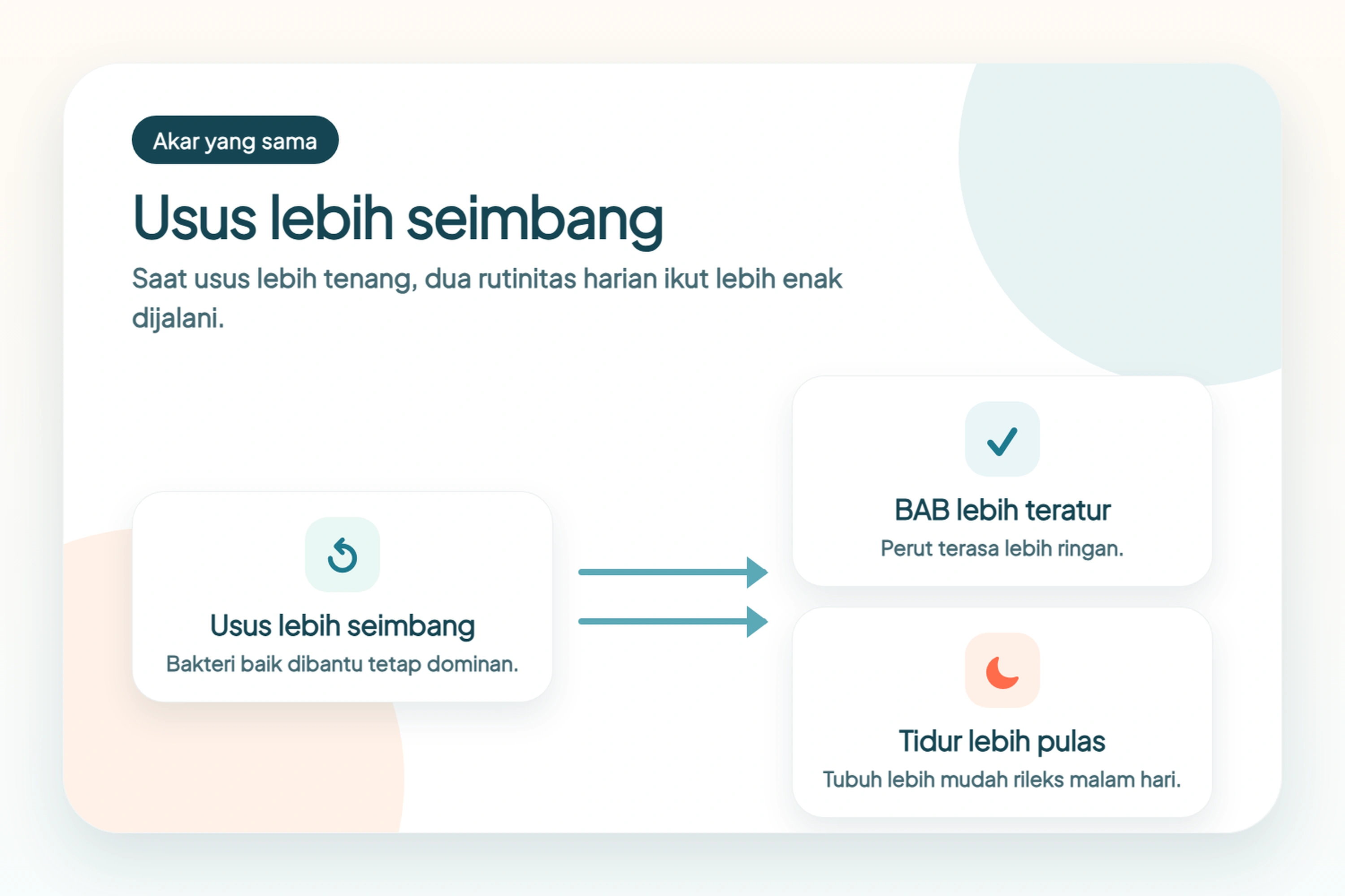 Alur GutReset: usus lebih seimbang membantu BAB lebih teratur dan tidur lebih pulas