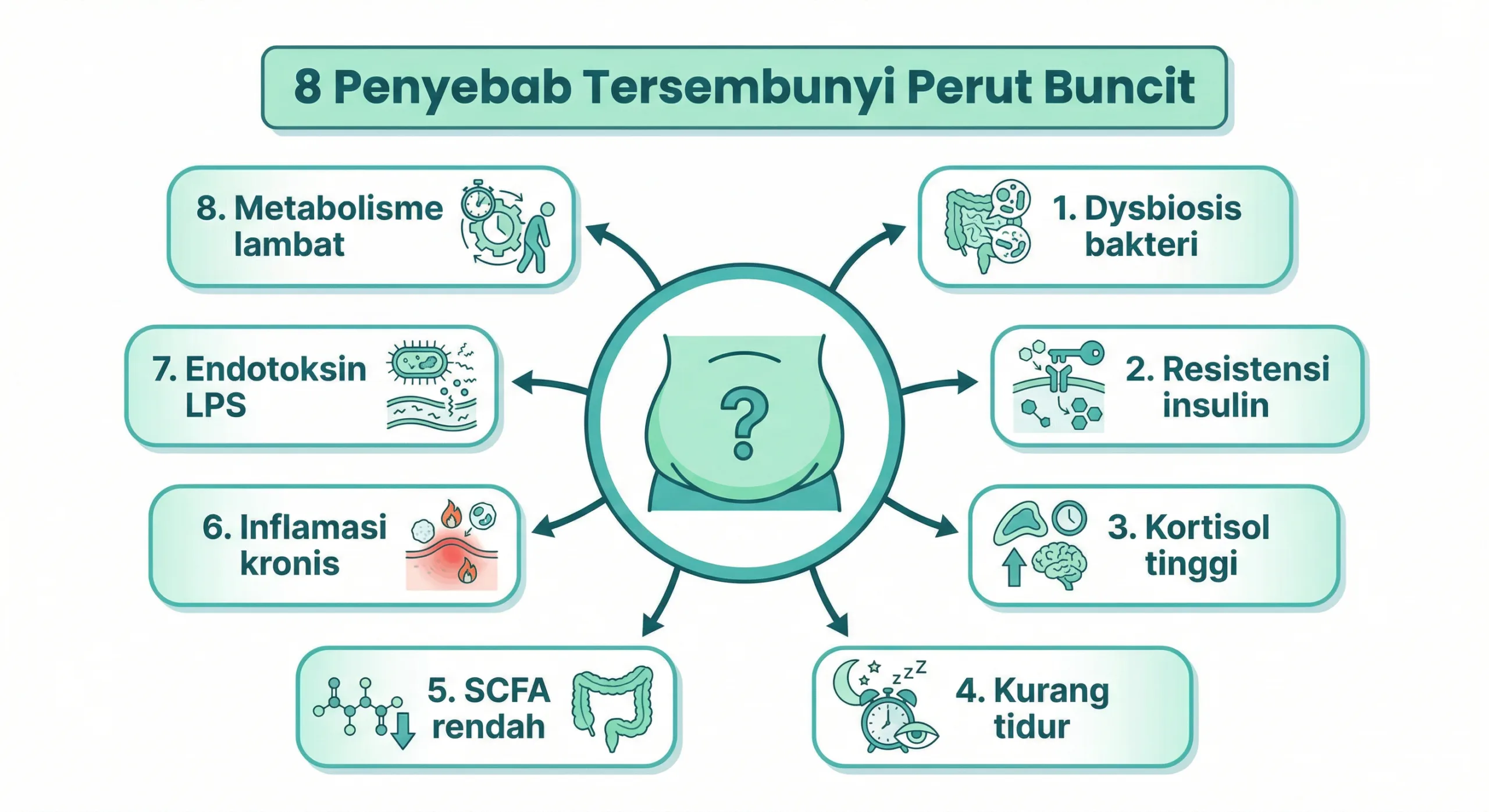 Infografik perut buncit dan hubungan bakteri usus