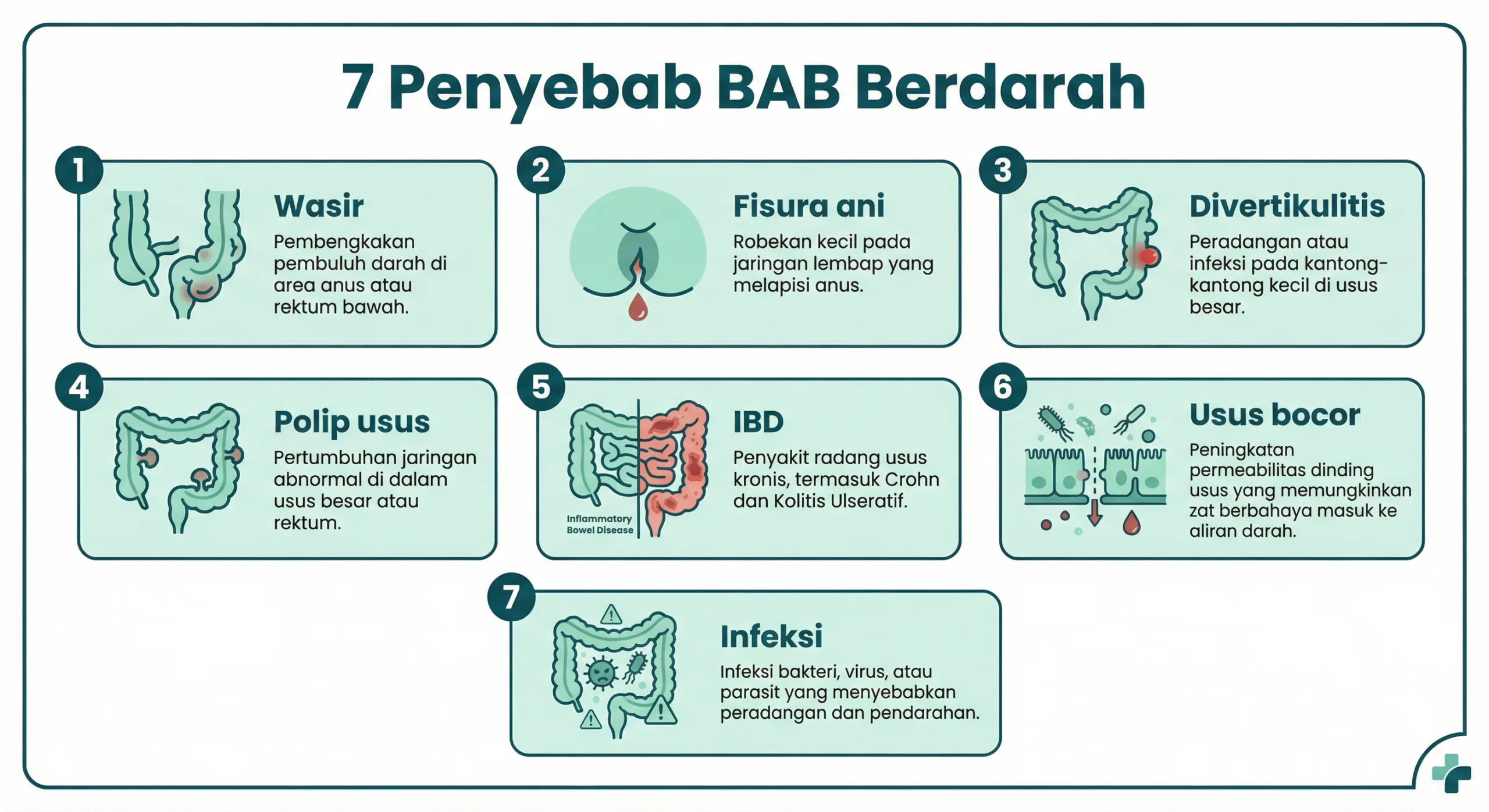 Infografik bab berdarah dan hubungan bakteri usus