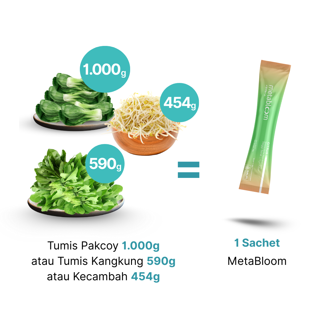 MetaBloom Comparison Visual