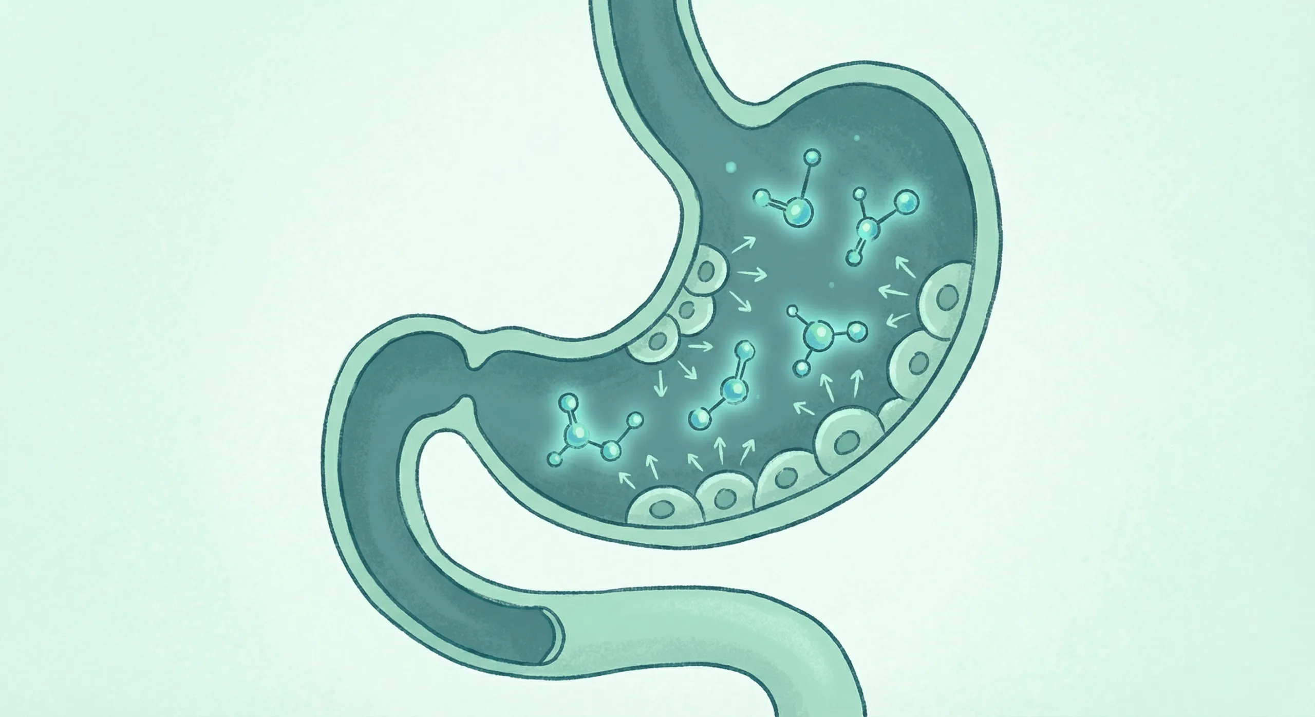 Hubungan alergi kulit dengan mikrobiom usus