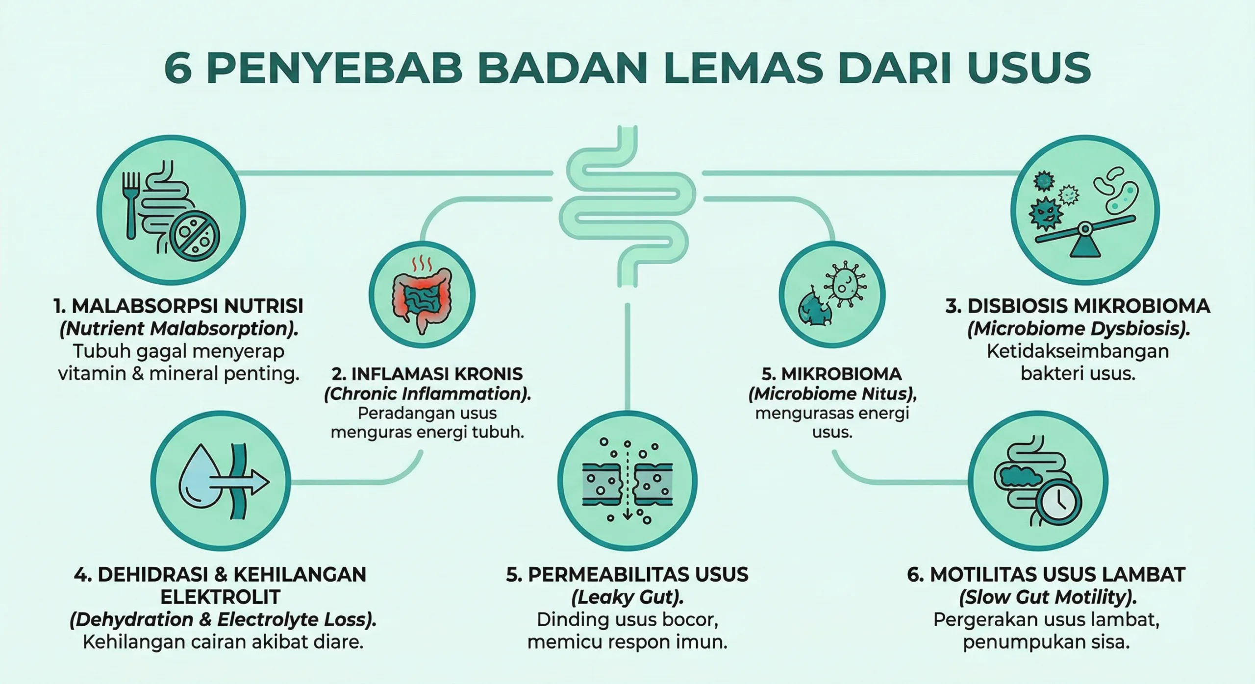 Infografik badan lemas dan hubungan bakteri usus