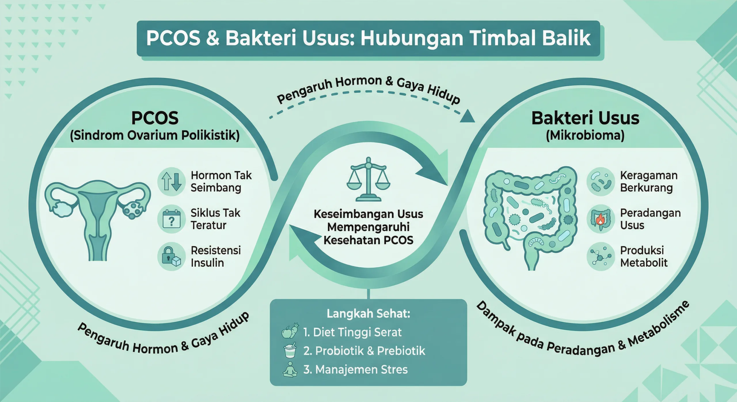 Infografik pcos dan hubungan bakteri usus
