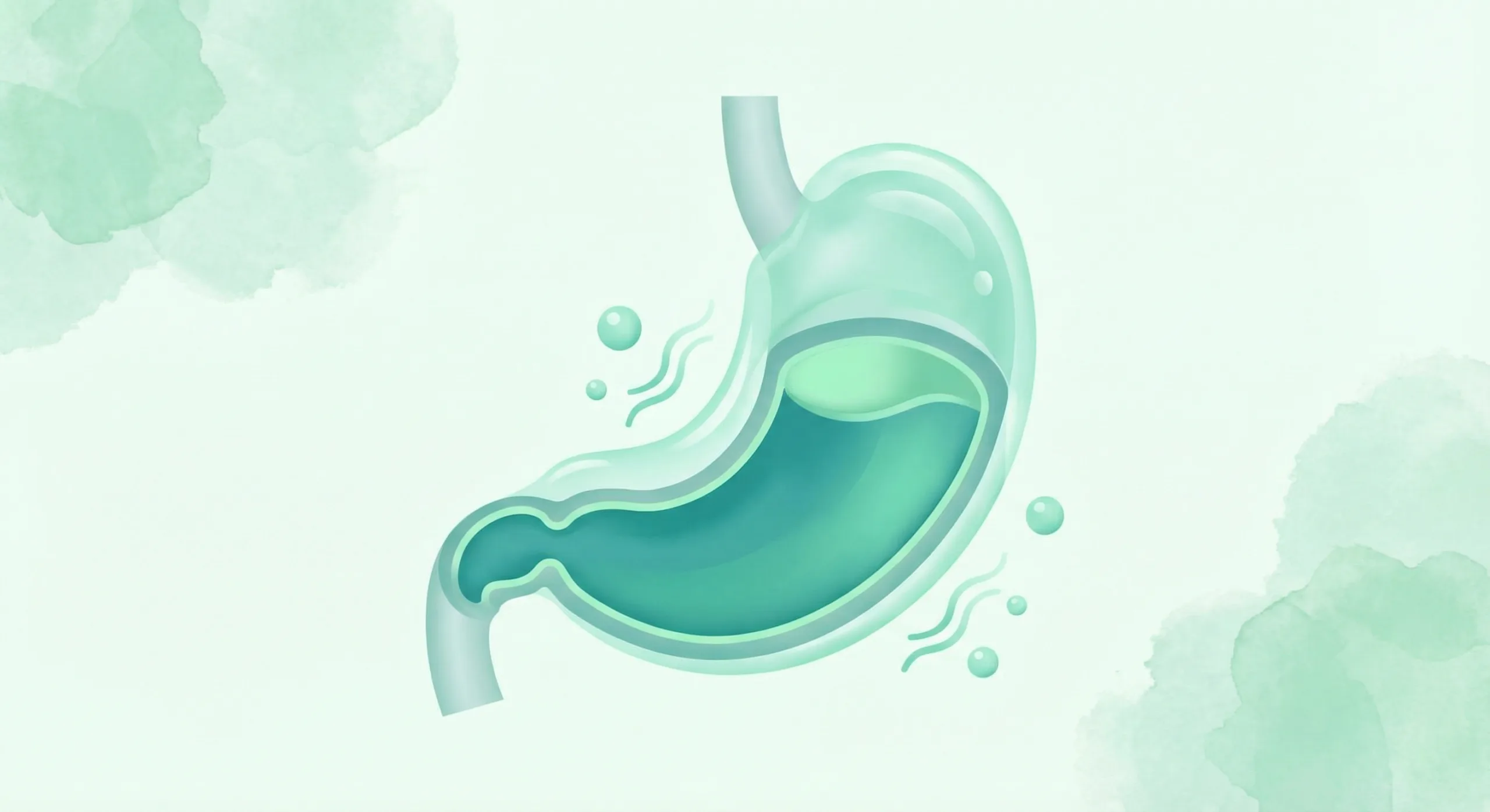 Ilustrasi kopi lambung - kesehatan usus