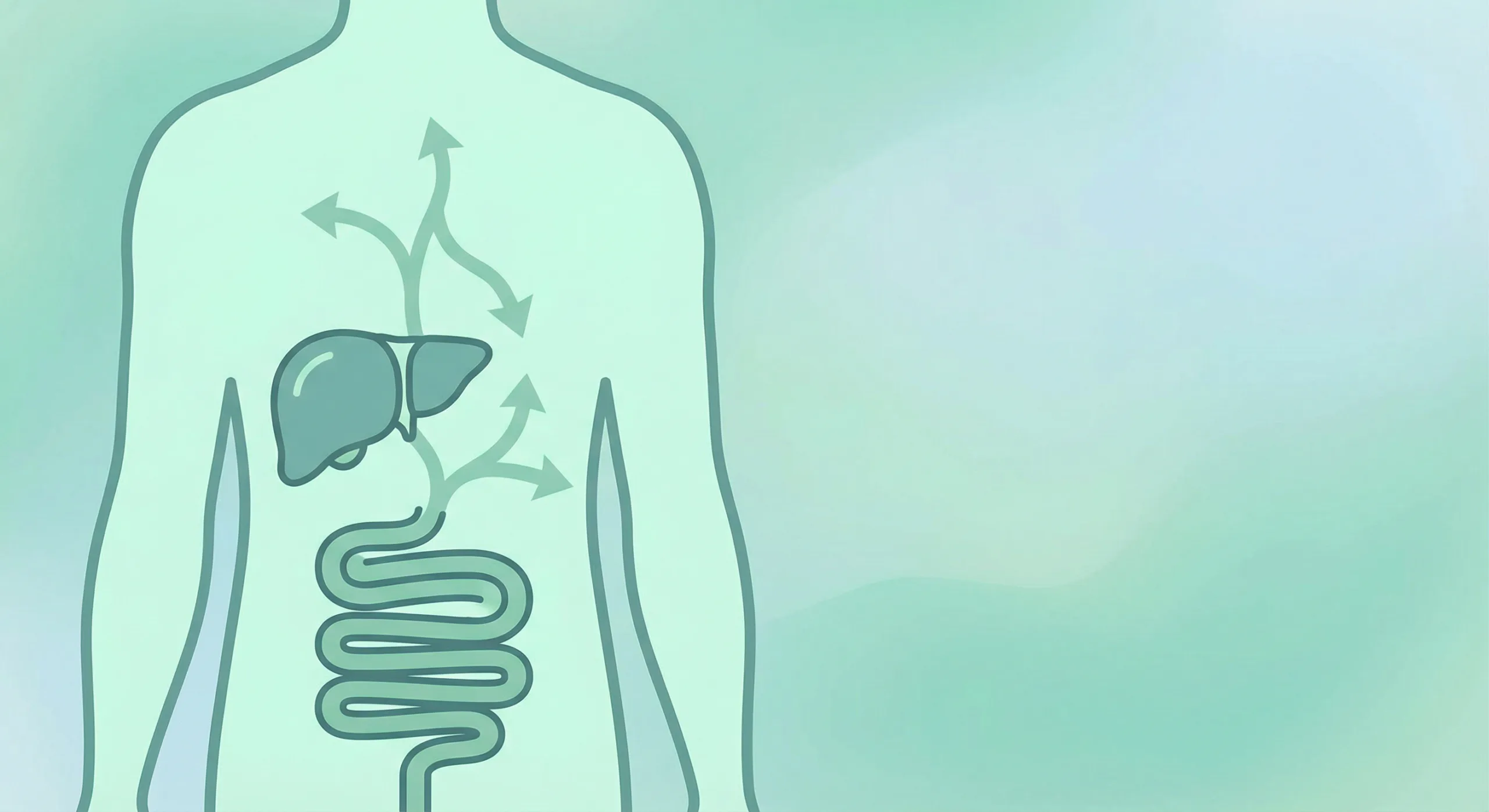 Ilustrasi detox tubuh - kesehatan usus