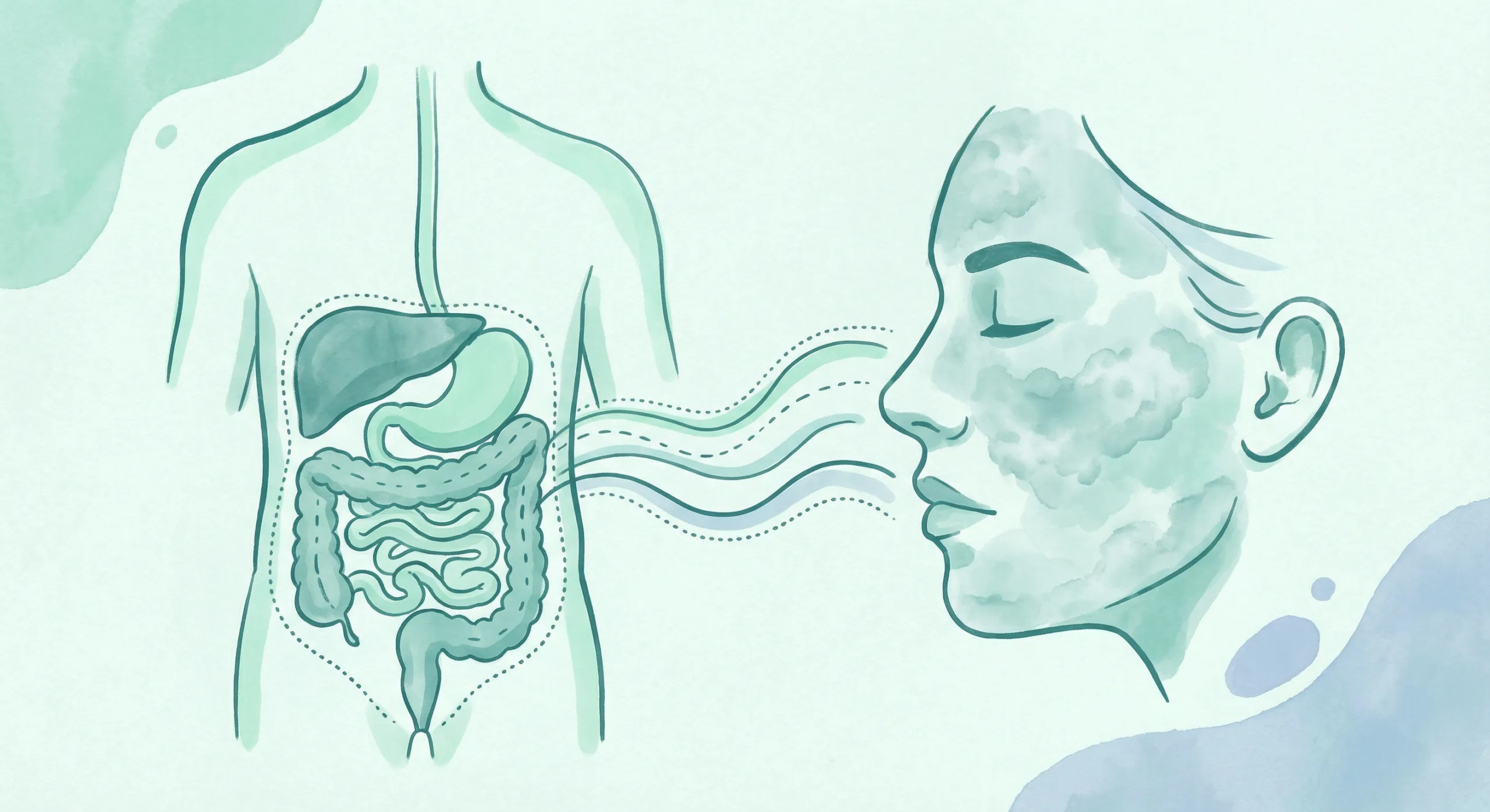 Hubungan kulit kusam dengan mikrobiom usus
