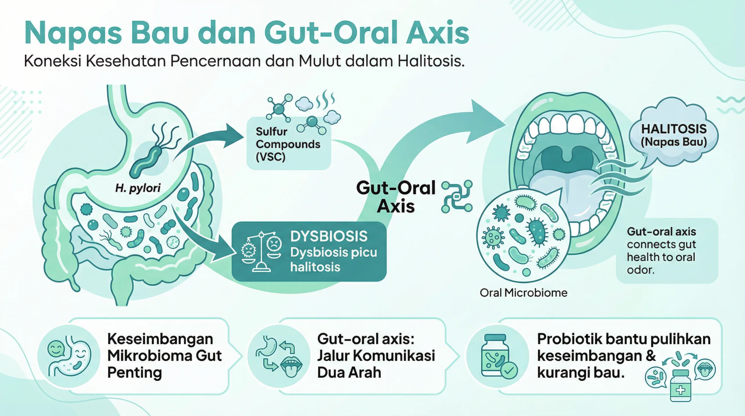 Infografik napas bau dan hubungan bakteri usus