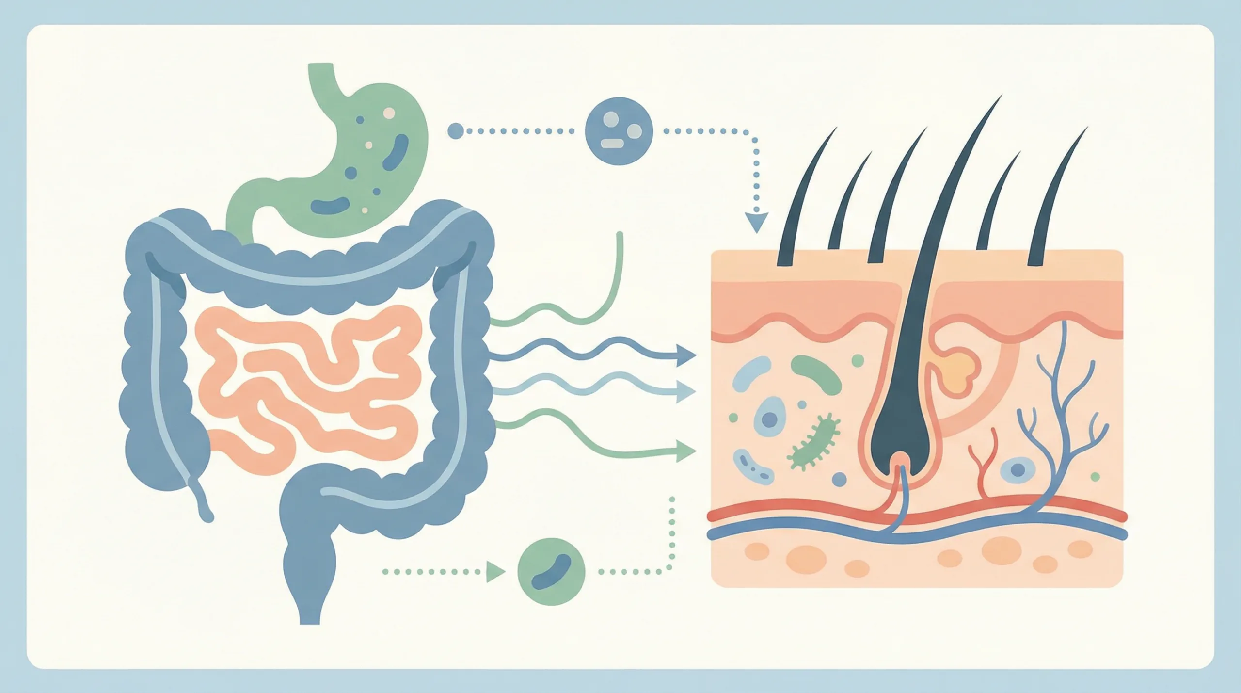 Ilustrasi kulit gatal - kesehatan usus