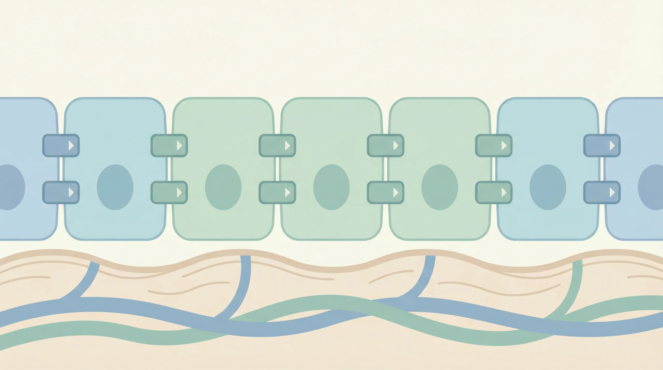 Ilustrasi infeksi usus - kesehatan usus