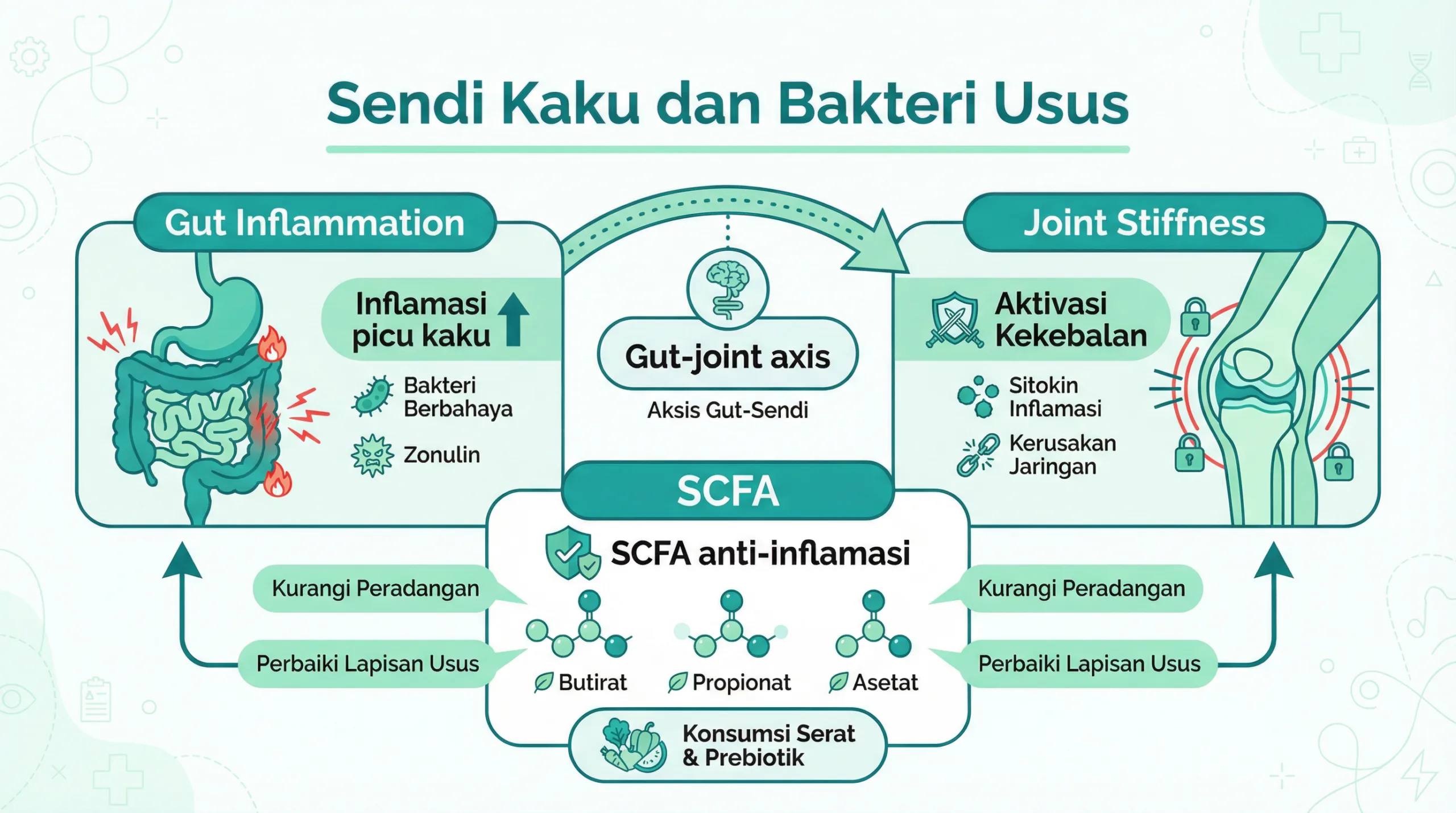 Infografik sendi kaku dan hubungan bakteri usus