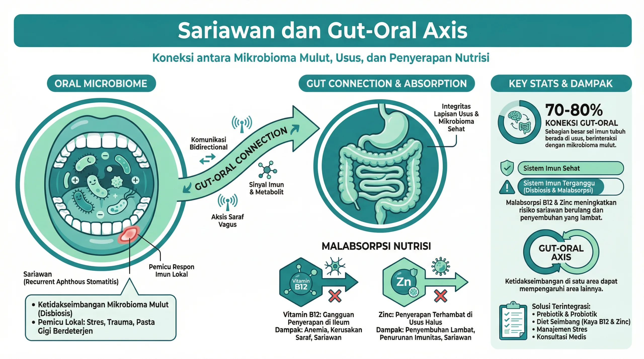 Infografik sariawan dan hubungan bakteri usus