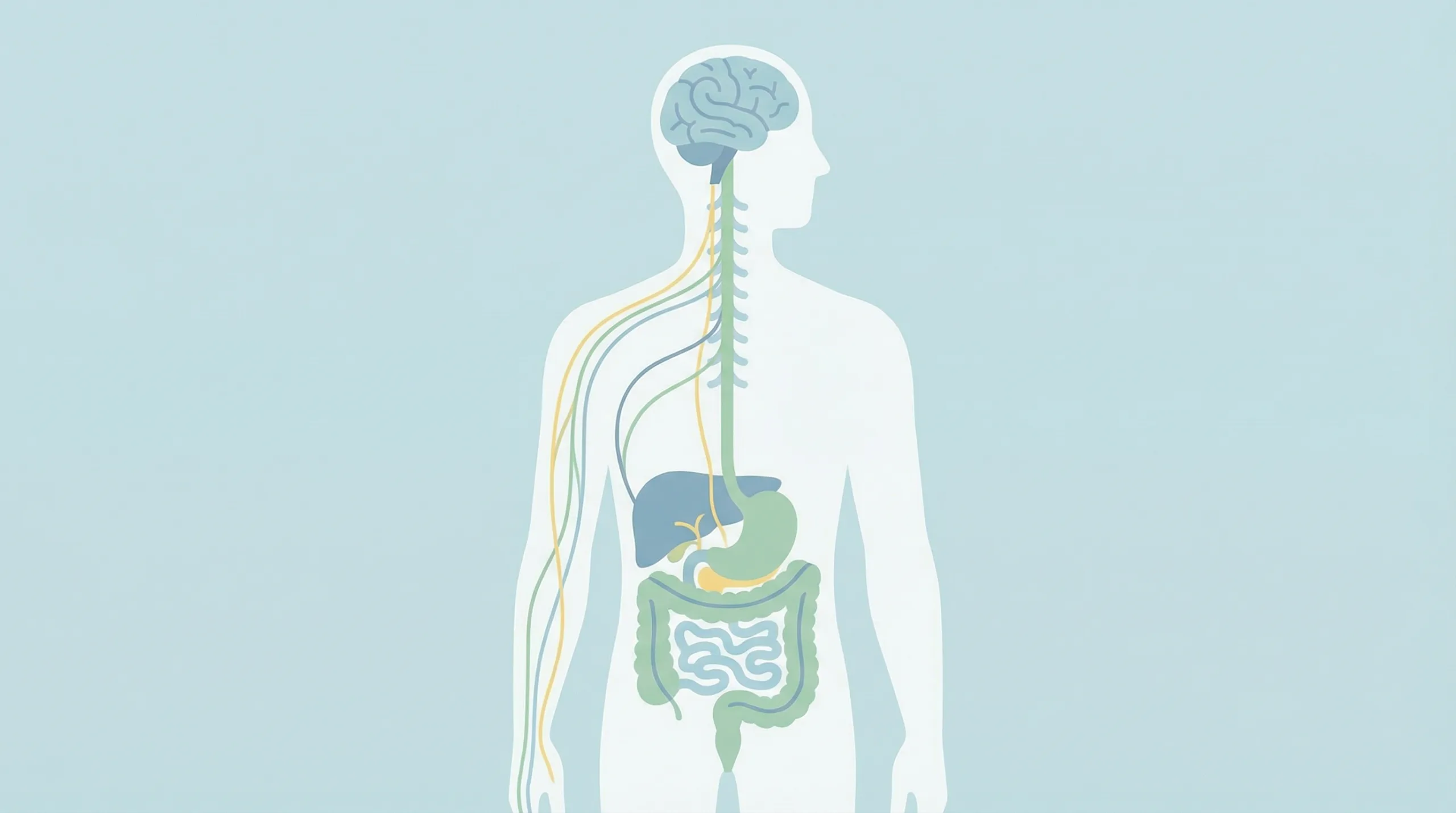 Ilustrasi tangan berkeringat - kesehatan usus