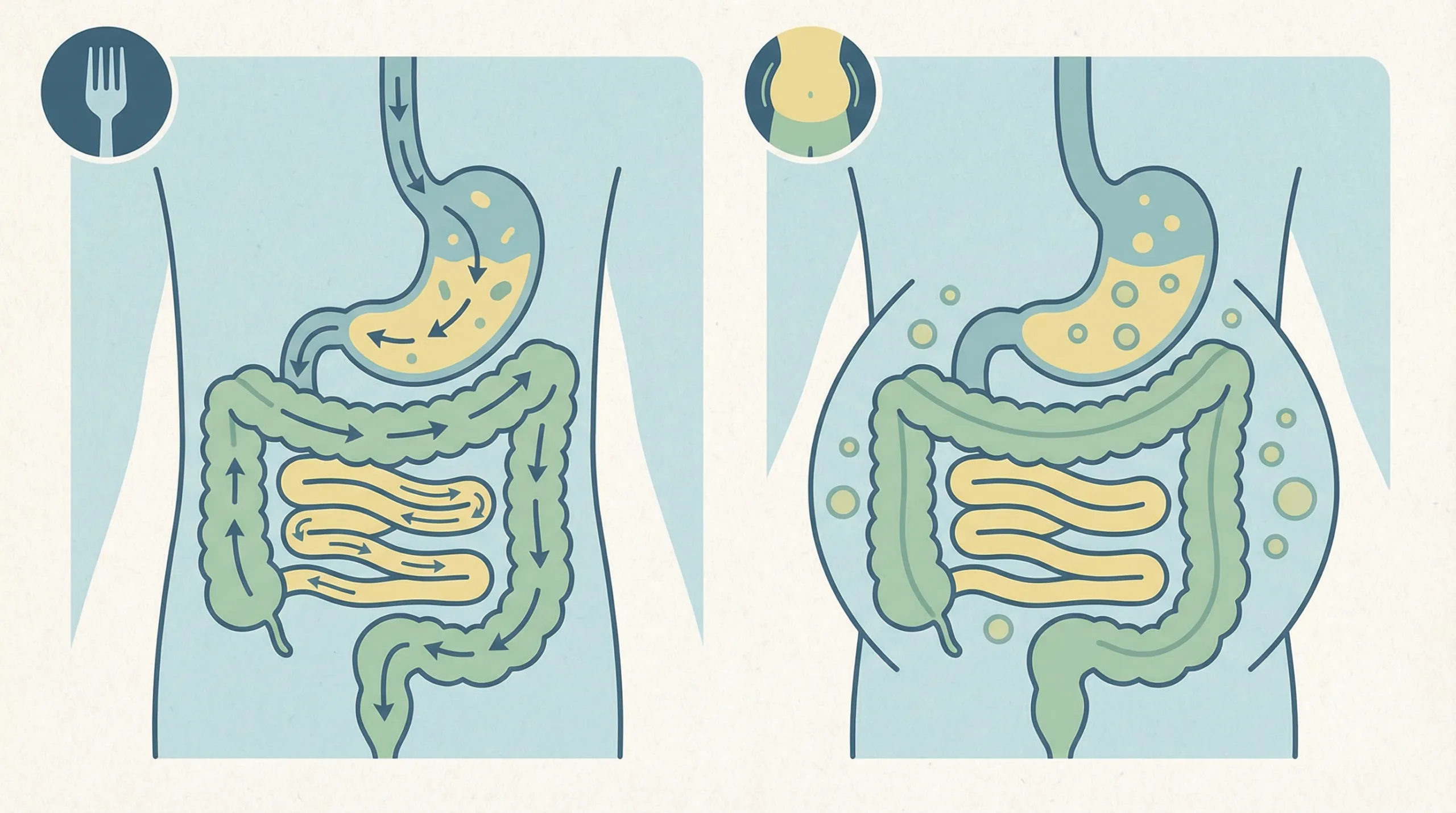 Ilustrasi kembung setelah makan - kesehatan usus