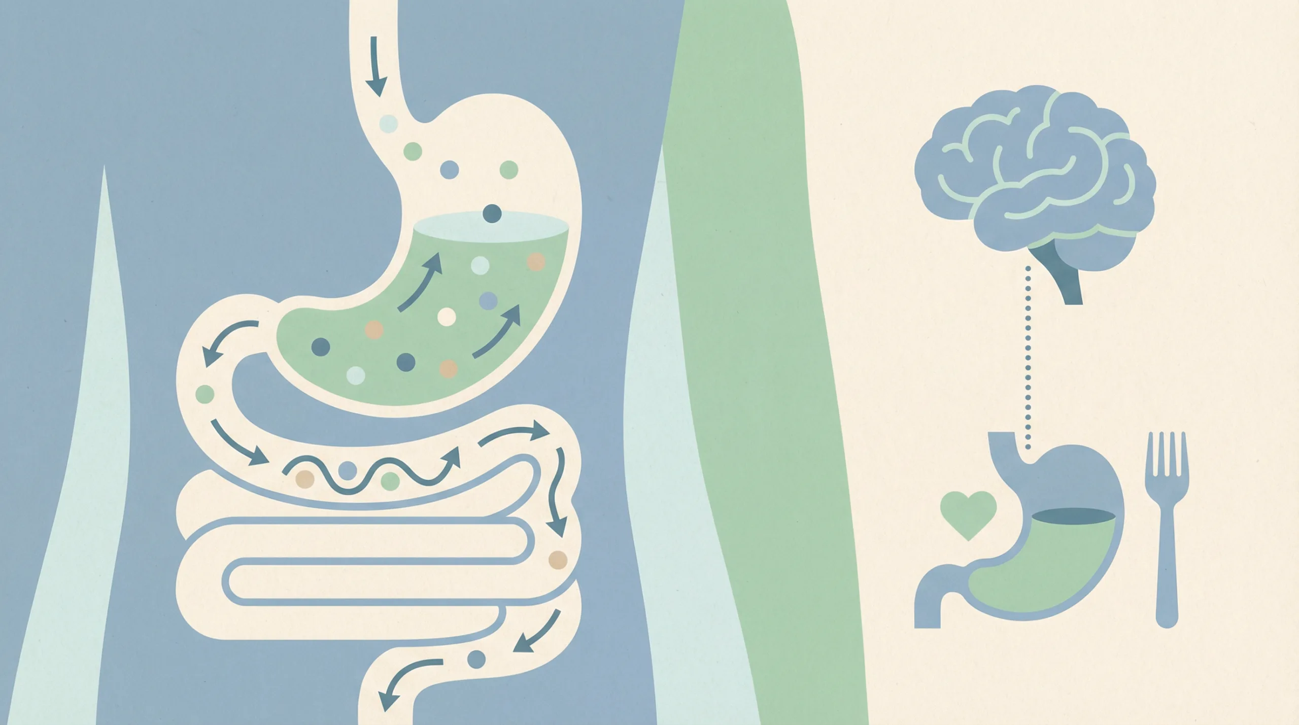 Ilustrasi perut terasa penuh