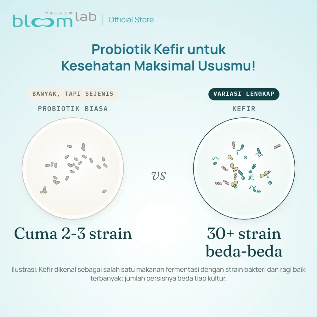 GutReset probiotik kefir